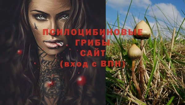ALPHA PVP Надым