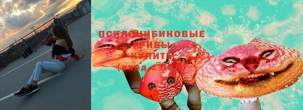 дживик Алзамай
